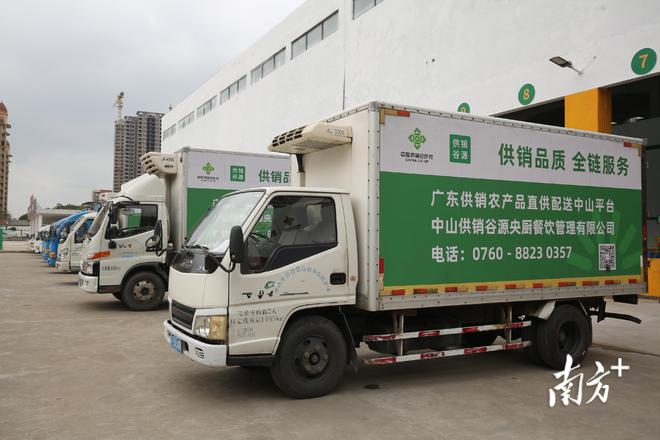 廣東供銷農產品直供配送中山服務中心開業，一站式打包服務助力農產品高效流通